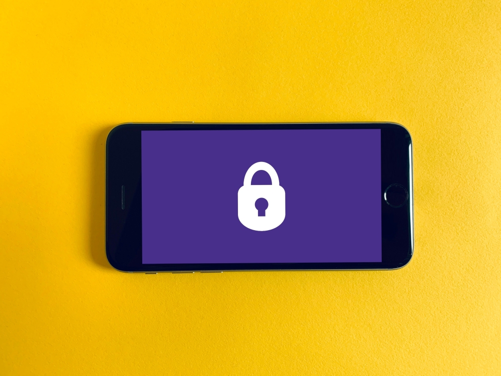 Mobile Devices and Network Security. Our Guide: